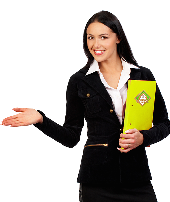professional-girl.png